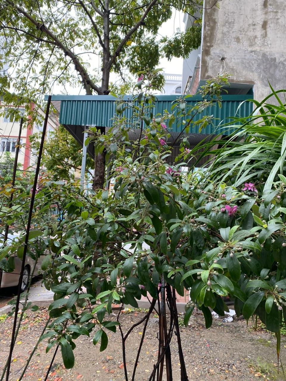 Nha Nghi Anh Dung Bed & Breakfast Hạ Long Ngoại thất bức ảnh